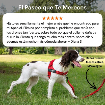 Arnés antitirones para perros Arilom